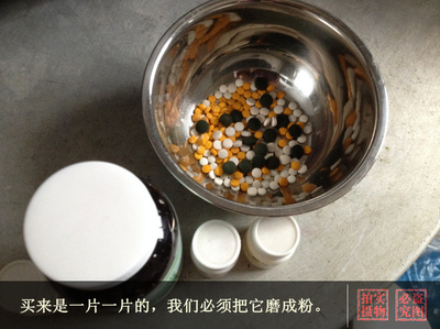 自制純天然貓糧 從家庭廚房到正規(guī)化生產(chǎn)的愛(ài)寵之選